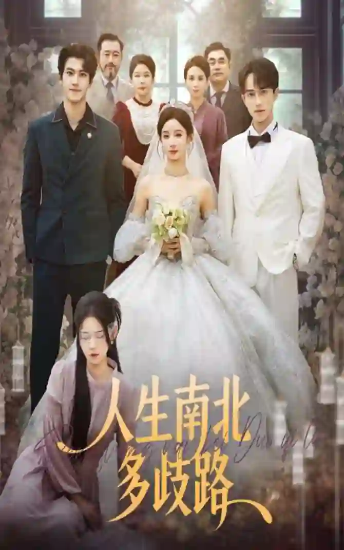 人生南北多歧路