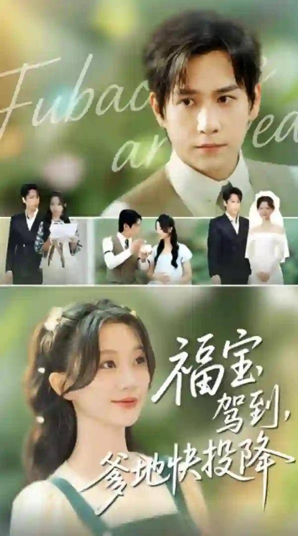 福宝驾到,爹地快投降